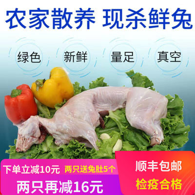 整只带头现杀冷冻真空包邮兔肉