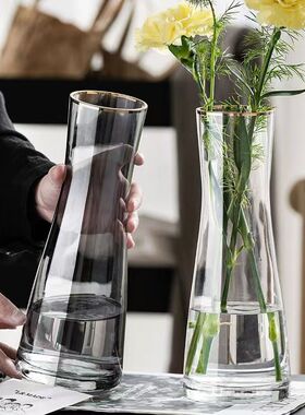 大号欧式简约玻璃花瓶北欧ins风摆件家居装饰客厅花瓶感水养