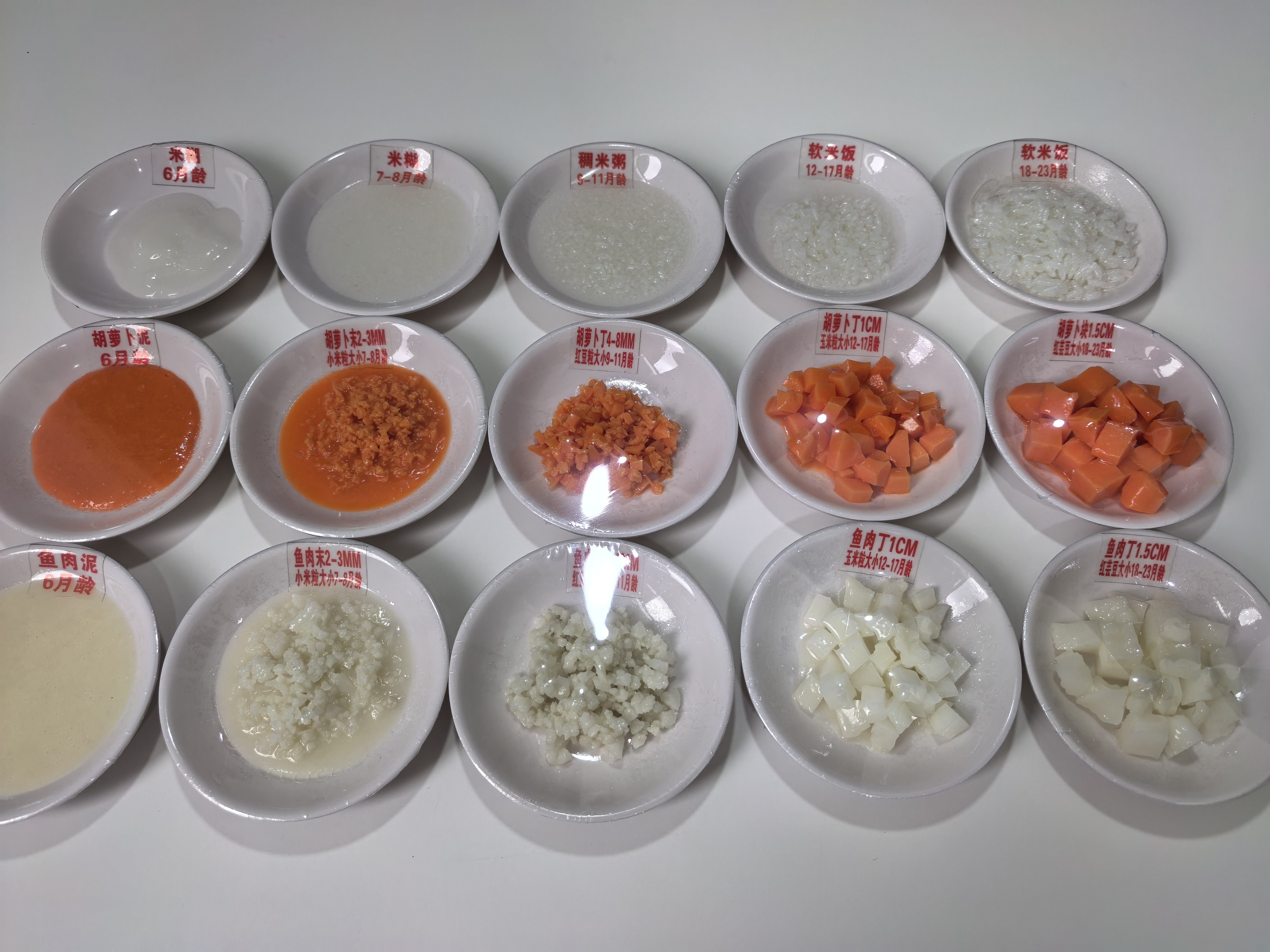 6-24 月婴儿辅食添加模型 各阶段营养指导模型儿保教学30件 模型