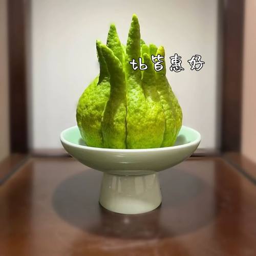 佛手柑花瓶器皿托盘中式复古摆放摆盘观赏佛手托盆养花容器盘子