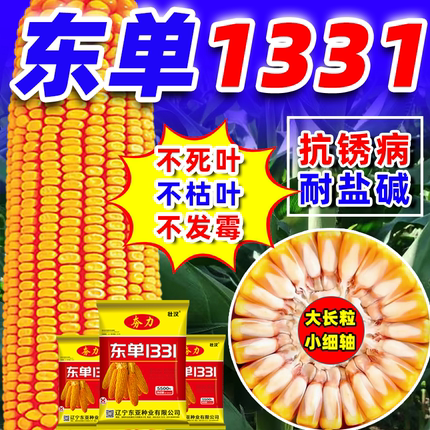 东单1331批发玉米种子大全高产大棒矮杆抗倒抗病抗旱正品原装苞米