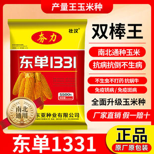 东单1331高产玉米种子大全正品国审抗锈病抗倒抗旱矮杆抗虫农科院