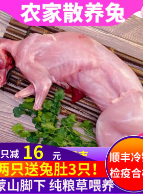 【顺丰包邮】新鲜兔肉大号现杀冷冻生兔肉生鲜食用烧烤食材一只装