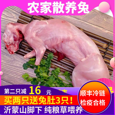 新客减【顺丰包邮】新鲜兔肉大号现杀冷冻生兔肉生鲜食用烧烤食材