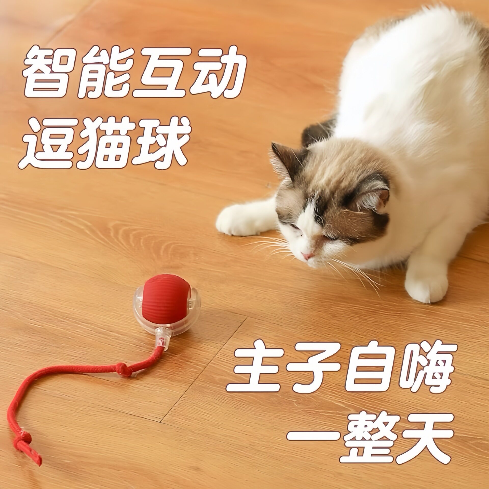 猫娱乐玩具逗猫球猫狗解闷神器智能电动滚滚球猫咪玩具球宠物玩具