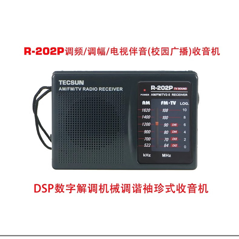 Tecsun/德生 R202P四六级校园广播考试学生考试收音机便携老年人