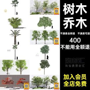 园林建筑室外景观树木乔木三维植物sketchup素材库SU草图大师模型