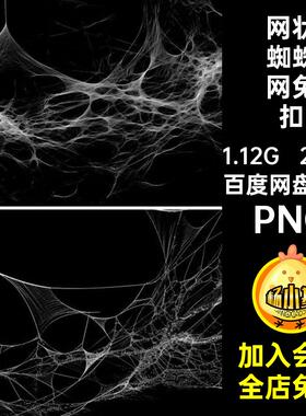 200款蜘蛛丝蜘蛛网免扣素材图片自然网状白色逼真PNG个背景纹理
