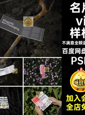 12款高级品牌vi样机场景PSD文画册创实景产品名片效果图psdpsd