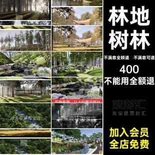 林下生态丛林树林森林公园模型林地草图SU大师山地林间野趣溪流