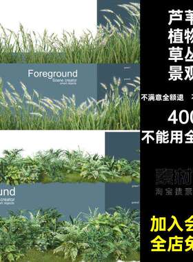 绿色植物麦穗芦苇植物草丛景观背景ps海报蕨类小麦草丛小麦麦穗