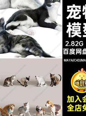 犬金毛模型犀牛宠物C4DSU3Dmax宠物狗Rhino猫咪FBXOBJMAYA素材