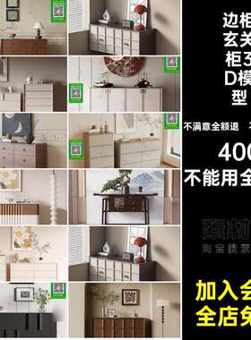 花瓶摆件挂画模型室内库柜玄关5max边现代边柜玄关柜3D模型