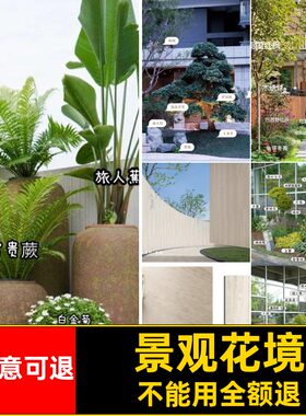 美学配置苗木表兰迪材料搭配植物PPT莫景观excel花序花境