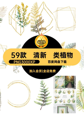 阳光蕨类植物高清插画清新免小手绘绿色扣PNG3000XP图5