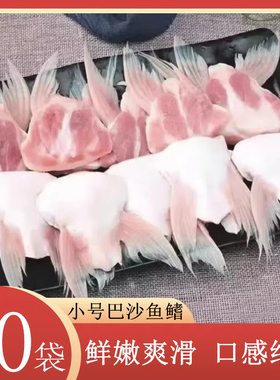 新鲜冷冻巴沙鱼鳍鮰鱼翅鮰鱼鳍鱼下巴鲜美肥嫩烧烤店饭店专用5斤