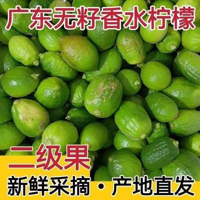 速邮 正宗广东无籽香水柠檬 二级果  茶饮专用 新鲜采摘/烂果包赔