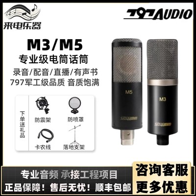 北京797Audio M3 M5 大振膜电容麦克风 专业录音直播K歌 人声话筒