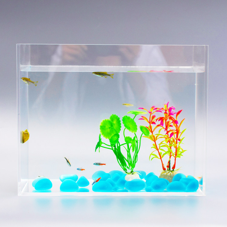 超白鱼缸亚克力小水族箱桌面微景缸斗鱼缸家居特色金鱼缸生态草缸