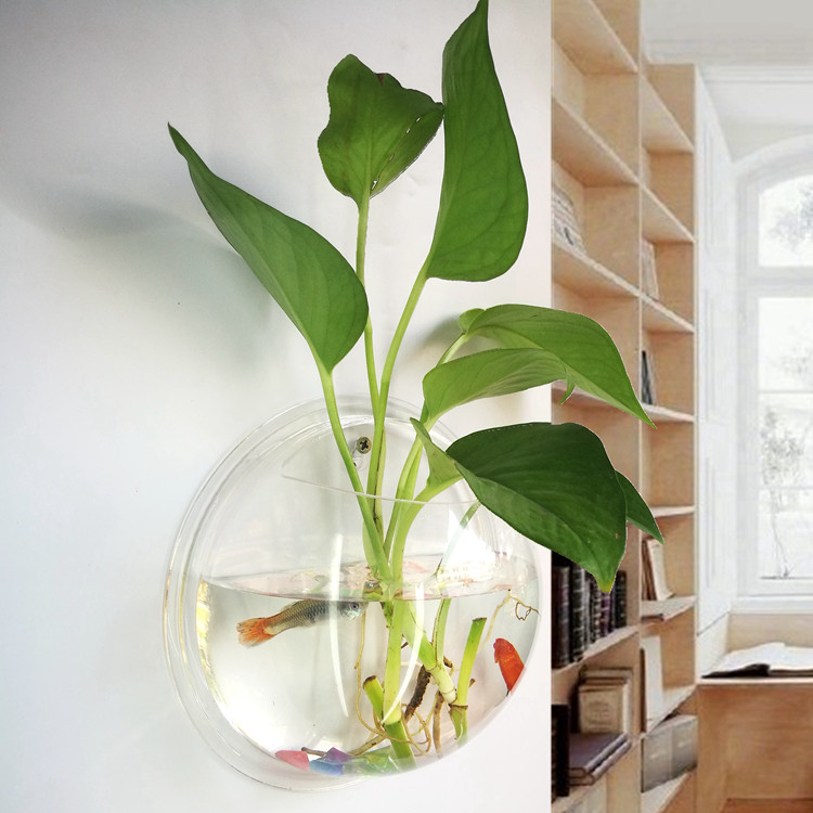 a living room Micro-King Pendant indoor metope Wall mounted Decorative fish tank Water to keep vase balcony Home accessories Aquariumin the Home accessories , Mural  category - from Buy2taobao.com to provide professional Taobao agent buy service