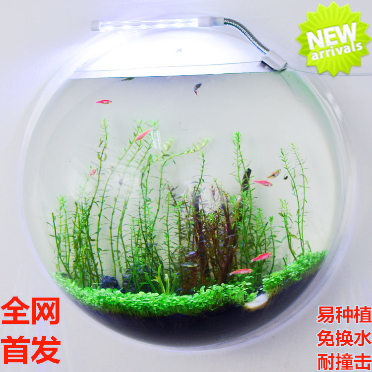 Mount tank Micro-King Wall fish tank Room a living room Wall hanging Wall decoration vase Acrylic Wall stickersin the Home accessories , Mural  category - from Buy2taobao.com to provide professional Taobao agent buy service