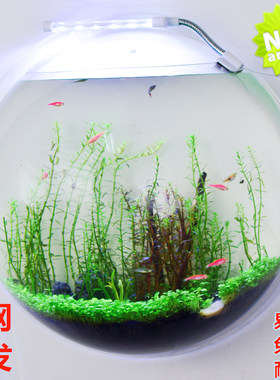 壁挂墙饰客厅花瓶鱼缸