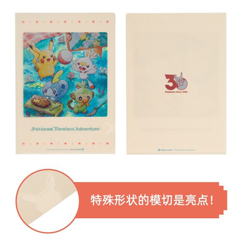 口袋妖怪伽勒尔地区A4文件夹