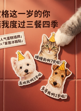 专属宠物生日蛋糕插牌定制猫咪狗狗照片手绘头像冰箱贴实用伴手礼