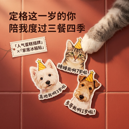 专属宠物生日蛋糕插牌定制猫咪狗狗照片手绘头像冰箱贴实用伴手礼