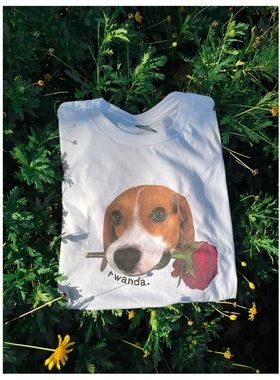 【售罄】Dada's diary 比格犬卢旺达原创纯棉可爱印花T恤短袖