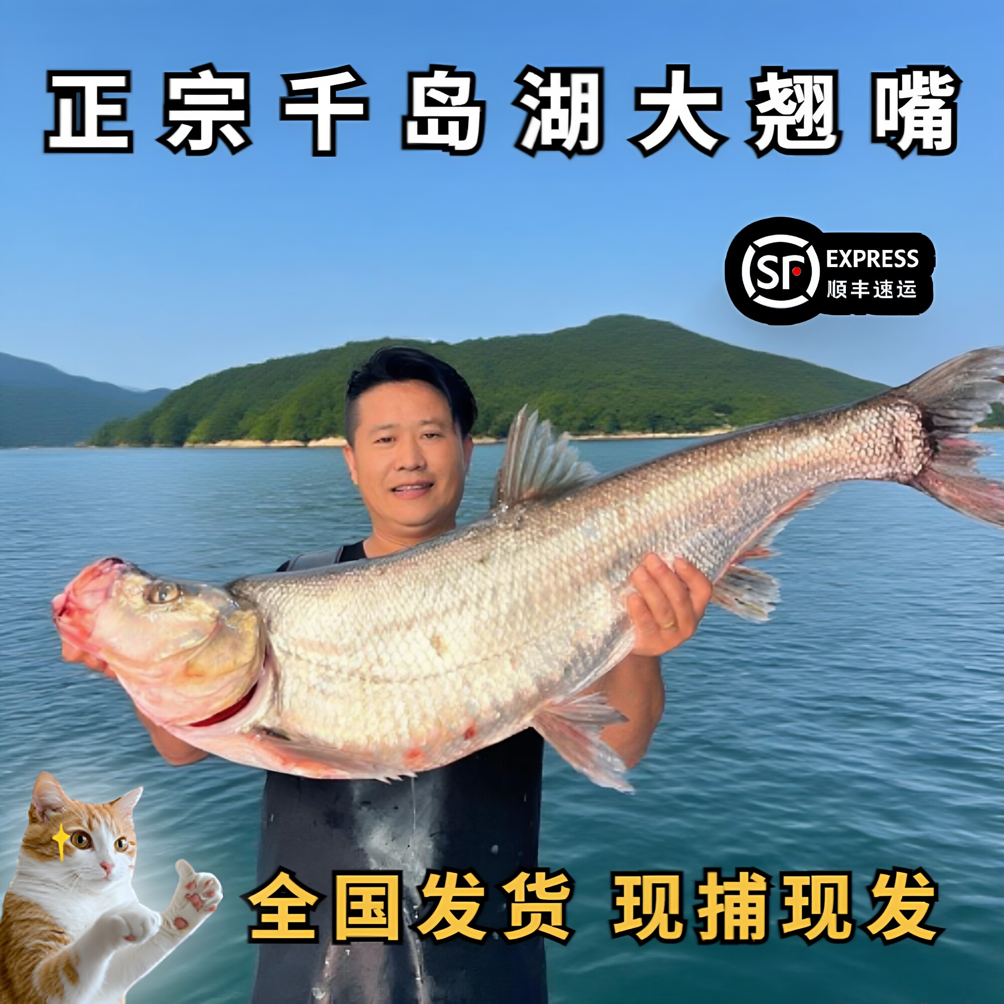正宗千岛湖大翘嘴米翘鲜活淡水大白鱼新鲜翘嘴刁鱼活鱼现杀快递