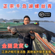 正宗千岛湖正宗野生螺蛳青活鱼大鱼青鱼活鱼现杀新鲜活鱼淡水鱼
