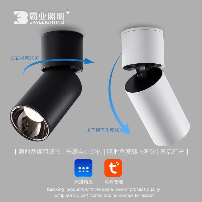 明装射灯涂鸦折叠旋转无极调光