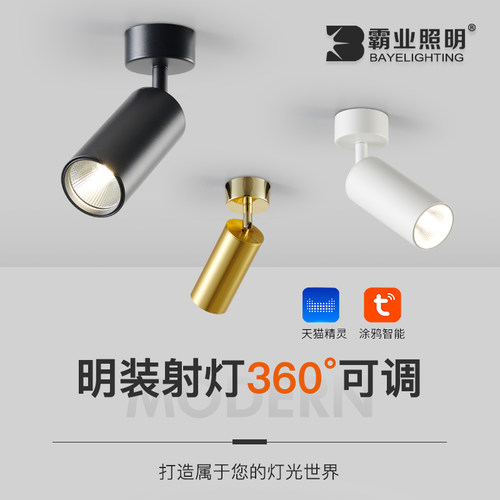 可摇头折叠中性光4000K防眩光