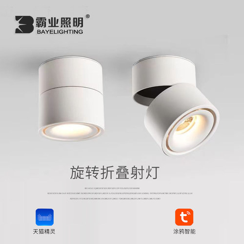 天花射灯全光谱调光调色4000K