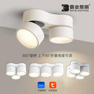 明装 筒灯可调角度客厅无主灯双头三头涂鸦智能三色变光吸顶斗胆灯