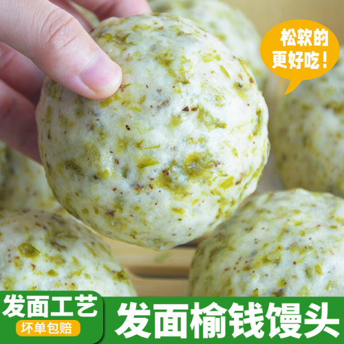 2026新鲜发面榆钱馒头