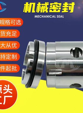 机封 DFB00-65-240 DFB00-65-250 定冷水泵机械密封