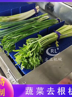 商用蔬菜切根机 输送式香菜韭菜去根须设备 全自动无刀化去根机