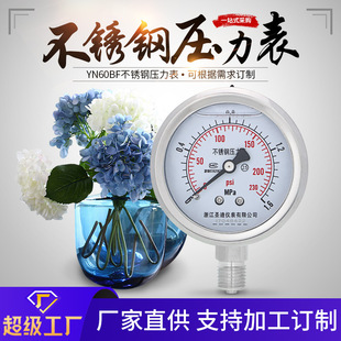 YN60BF 英制螺纹2分不锈钢耐震压力表 充硅油耐腐蚀耐高温耐低温