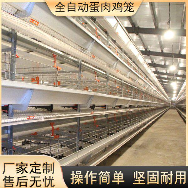 大层叠肉鸡笼养鸡设备加密加粗全自动化养殖笼具热镀锌蛋鸡笼