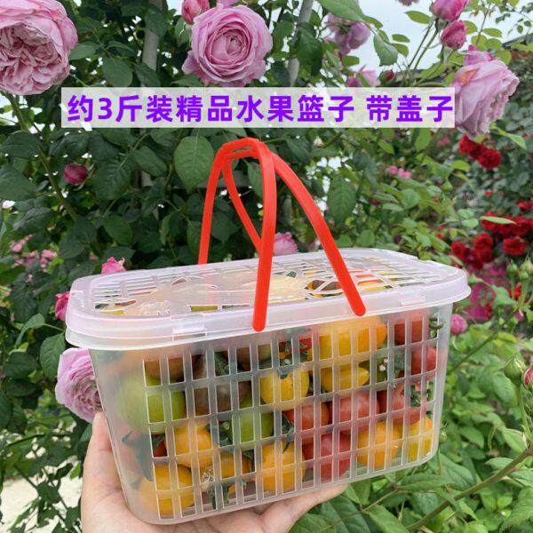 3斤装真空包装塑料水果篮杨梅篮子草莓篮龙眼筐荔枝框樱桃篮带盖