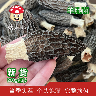 菇太郎羊肚菌干货头茬精选蘑菇菌菇类新货剪柄牛肚菌特产肉厚个大