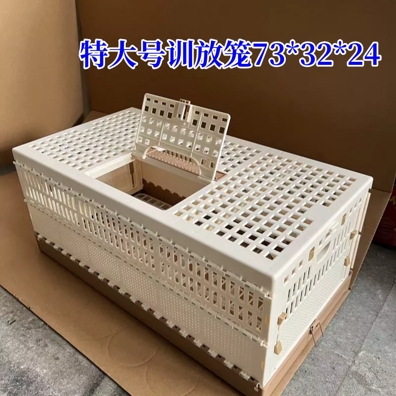 鸽子放飞笼手提训放笼鸽笼折叠塑料鸽子笼报道笼信鸽用品用具
