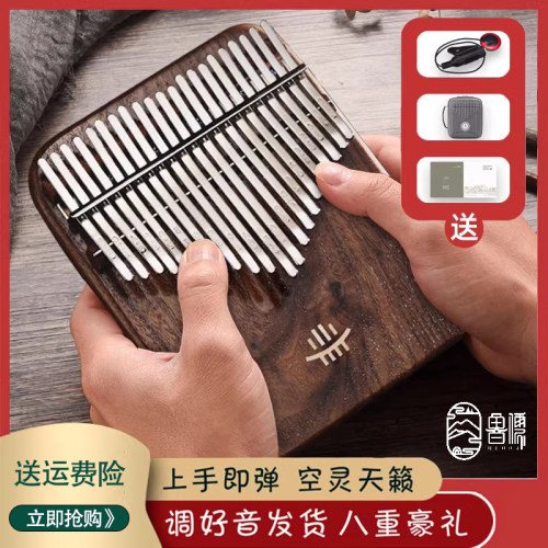 鲁儒拇指琴21音初学专业演奏级