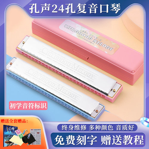 正品口琴24孔小学生初学复音C调