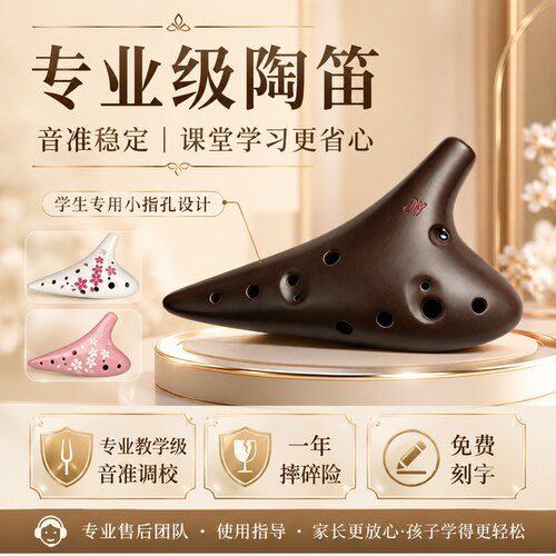 专业级音准丨陶笛小学生专用12孔