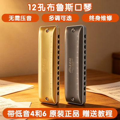 无需压音12孔全音阶布鲁斯口琴