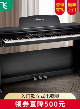 吟飞电子钢琴 88键重锤家用专业考级儿童幼师初学者入门乐器DP-10