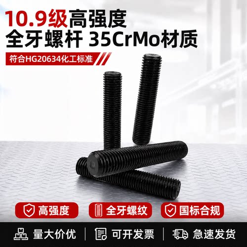 35CrMo10.9级全牙螺杆HG20634